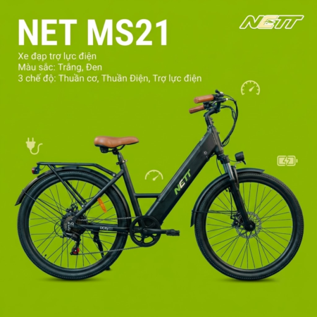 MS21