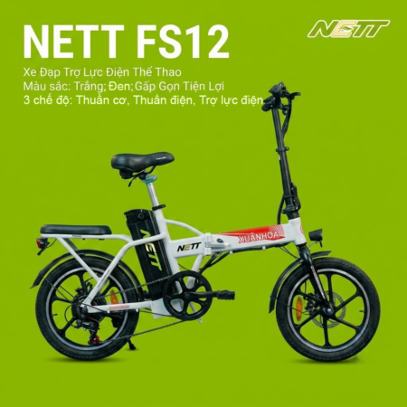 FS12