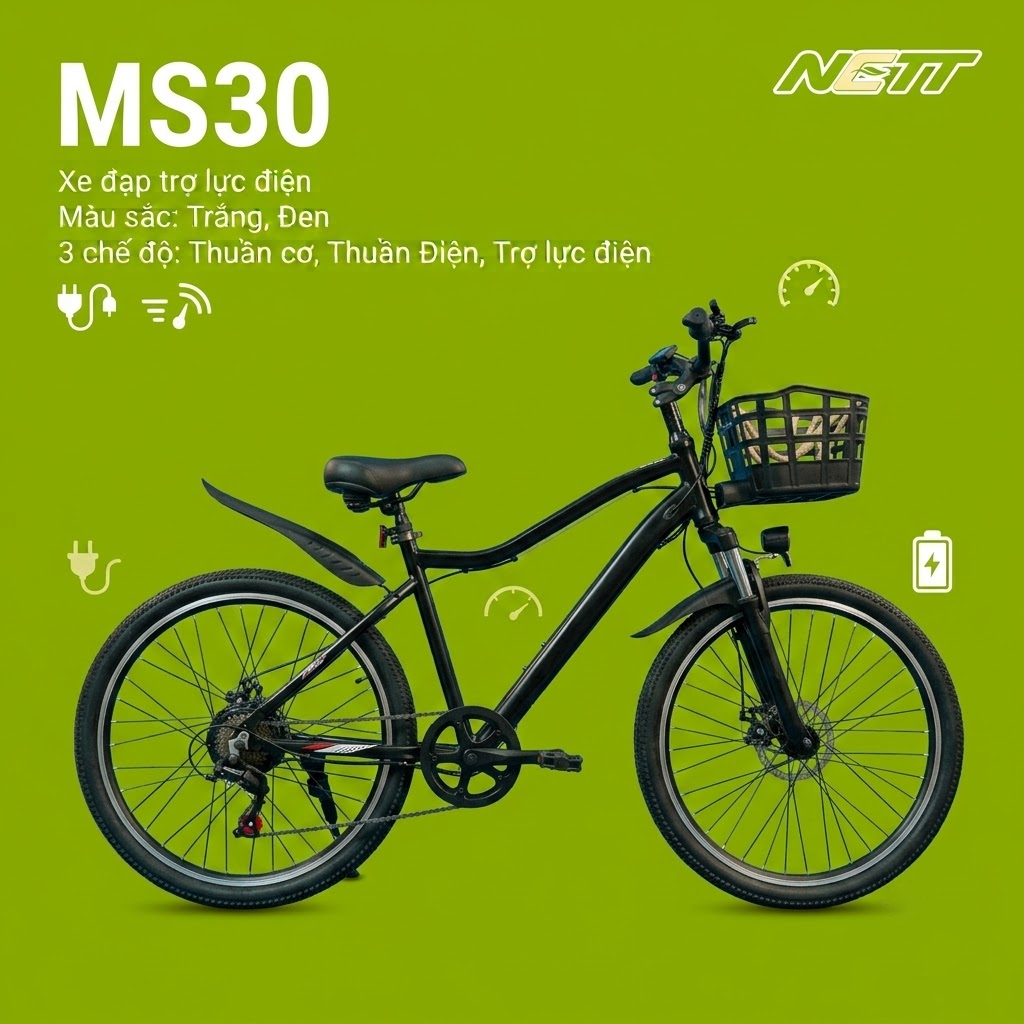 MS30