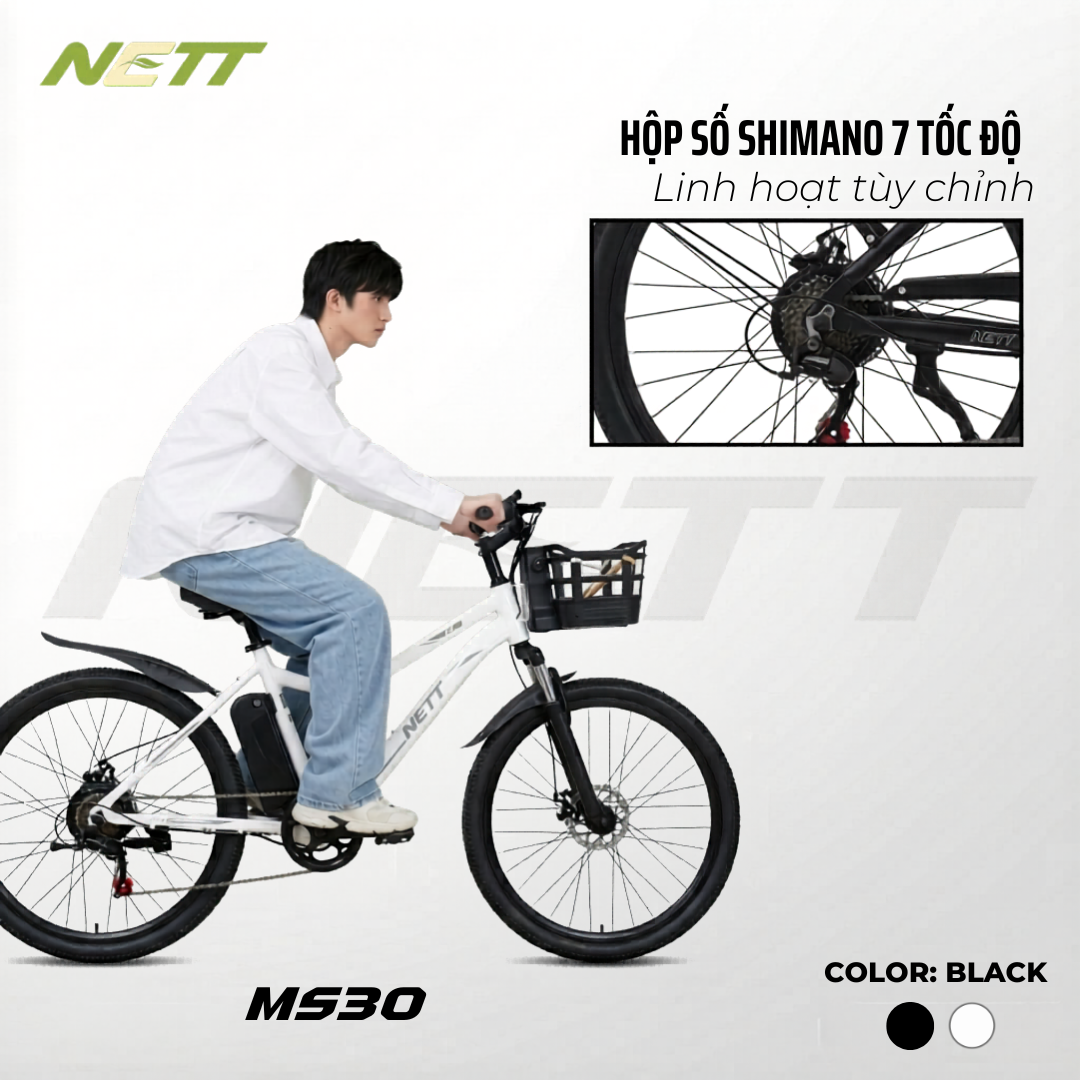 MS30 - Ảnh 2
