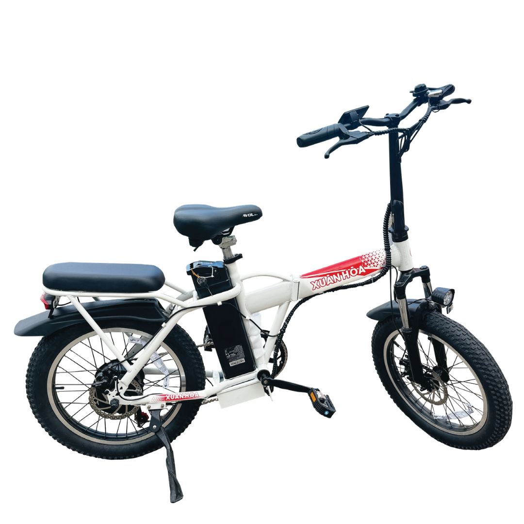 FS12