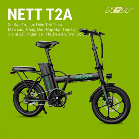 T2A