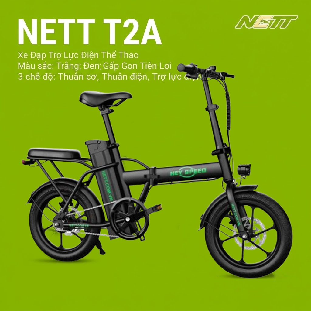 T2A