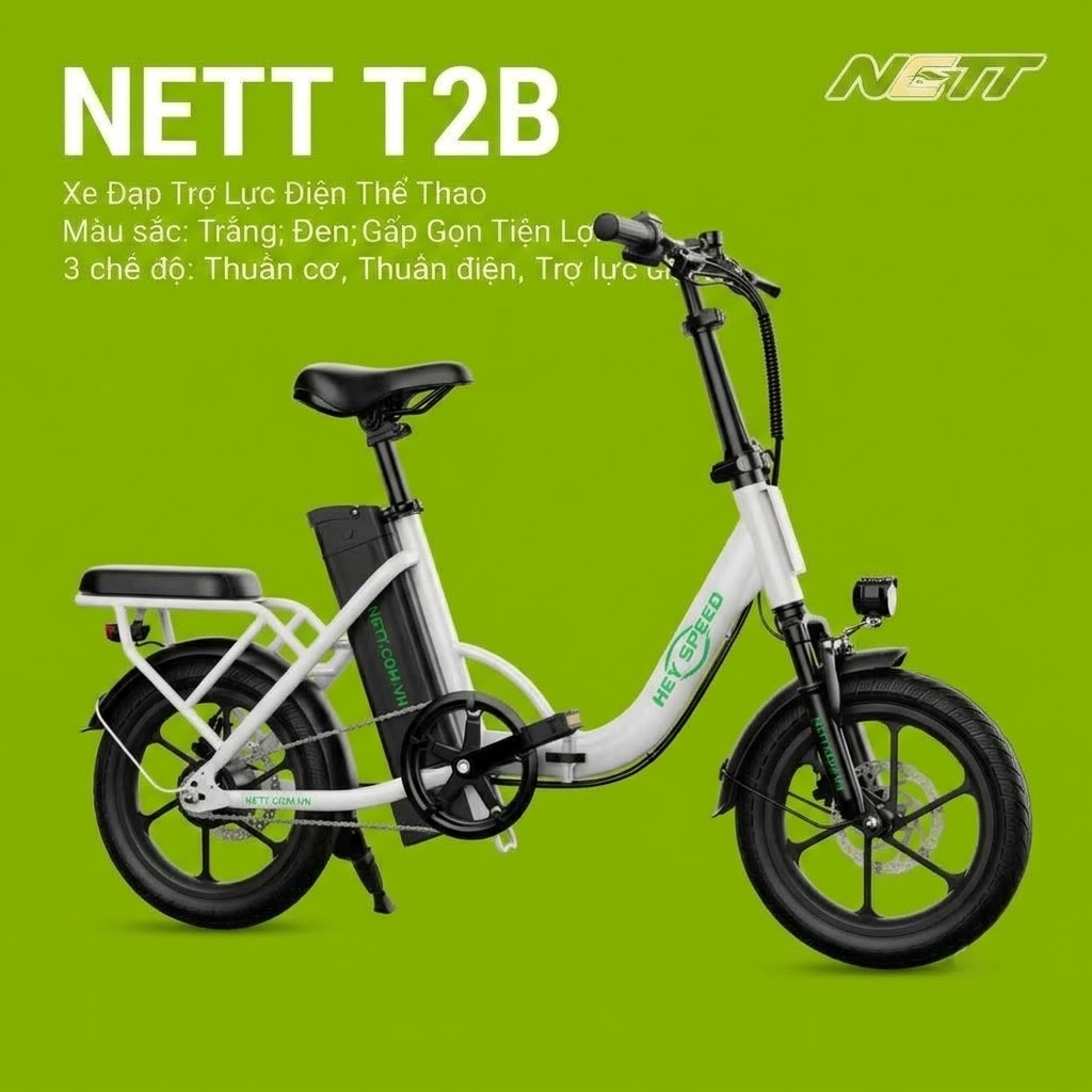 T2B